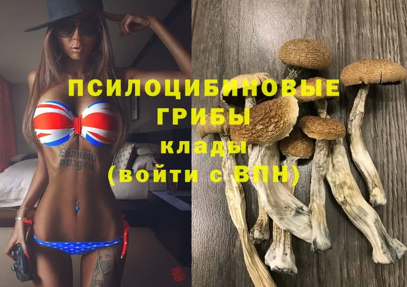 Галлюциногенные грибы Magic Shrooms  Лысково 